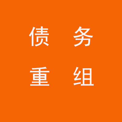 新县个人债务重组优化